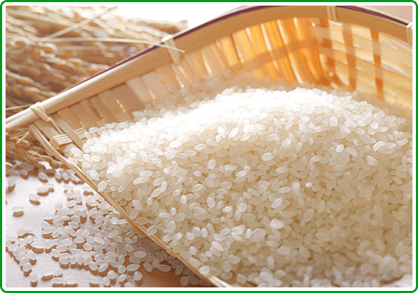 品種「コシヒカリ」の精米後の画像